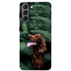 TPU чохол Demsky Собака в зелени для Samsung Galaxy S21