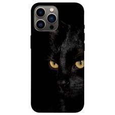TPU чохол Demsky Черный кот для Apple iPhone 13 Pro Max (6.7")