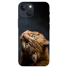 TPU чохол Demsky Рыжий кот для Apple iPhone 13 mini (5.4")