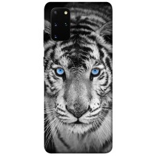 TPU чохол Demsky Бенгальский тигр для Samsung Galaxy S20+