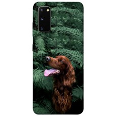 TPU чохол Demsky Собака в зелени для Samsung Galaxy S20