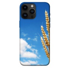 TPU чохол Demsky Пшеница для Apple iPhone 14 Pro Max (6.7")