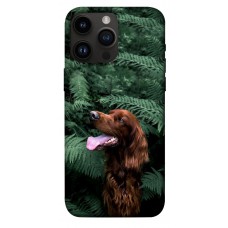 TPU чохол Demsky Собака в зелени для Apple iPhone 14 Pro Max (6.7")