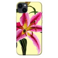 TPU чохол Demsky Lily flower для Apple iPhone 14 Plus (6.7")
