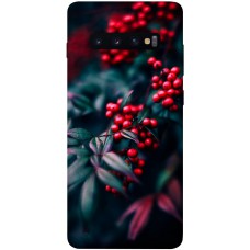 TPU чохол Demsky Red berry для Samsung Galaxy S10+