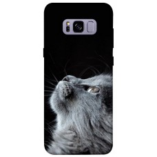 TPU чохол Demsky Cute cat для Samsung G955 Galaxy S8 Plus