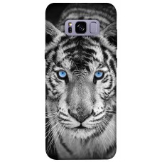 TPU чохол Demsky Бенгальский тигр для Samsung G955 Galaxy S8 Plus