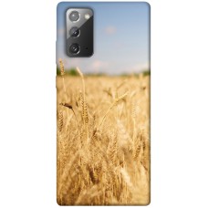 TPU чохол Demsky Поле пшеницы для Samsung Galaxy Note 20