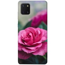 TPU чохол Demsky Роза в саду для Samsung Galaxy Note 10 Lite (A81)