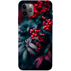 TPU чехол Demsky Red berry для Apple iPhone 11 Pro (5.8")