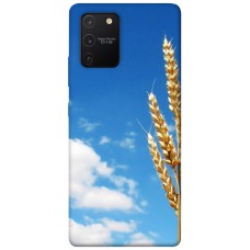 TPU чохол Demsky Пшеница для Samsung Galaxy S10 Lite