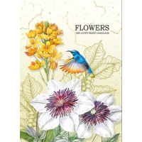 Блокнот, 60 г, 143x210 мм, 80 аркушів, клітинка, 19487-19490