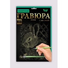 Креативна творчість "гравюра а4" економ (60) danko toys мікс видів