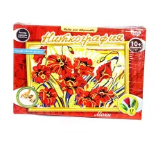 Набір креативної творчості "ниткографія" (9) danko toys