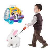 Улюбленець Кролик, 924-3, у боксі