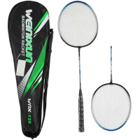 Набір для бадмінтону TK Sport, 2 ракетки з металевим каркасом, у чохлі C70202 (В асортименті)