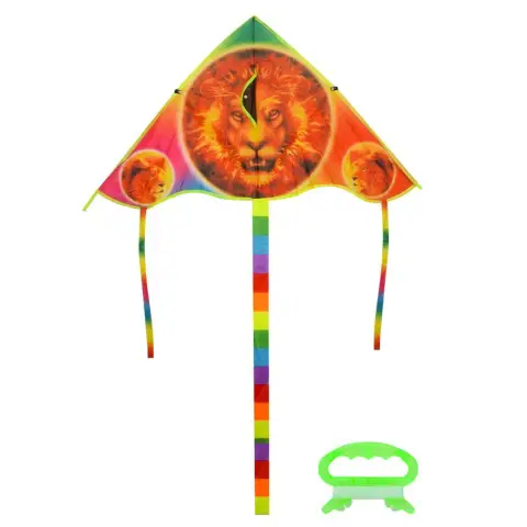 Повітряний змій, ширина 93 см, довжина 52 см, хвіст 120 см, струна 30 м, M2981 (В асортименті)