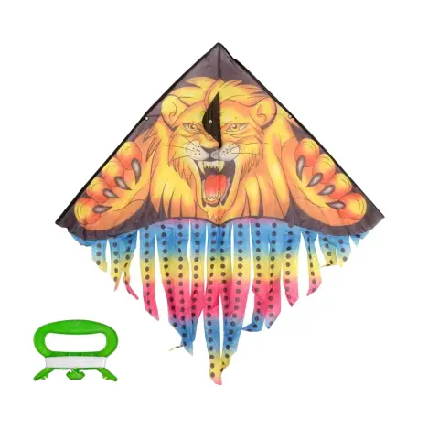 Повітряний змій, ширина 100 см, довжина 48 см, хвіст 42 см, струна 30 м, M2894-1 (В асортименті)