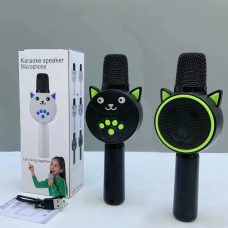 Мікрофон 20см, акум, Bluetooth, FM, MP3, TFслот, USBзарядне (MC811) Мікс