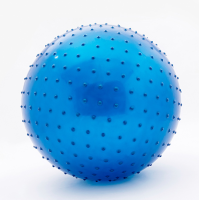 М’яч Їжак, BT-PB-0228, 35 г, 6 дюймів (В асортименті)