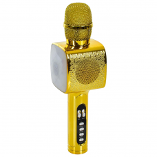 Мікрофон 25см, аккум, світлові ефекти, USBвх, USBшнур, Bluetooth, TFслот (L20) МІкс