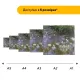 Дерев'яний фігурний пазл Водяні Лілії, А5, Картонна коробка 35 елементів