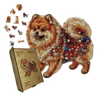 Дерев'яний фігурний пазл Мозаїка Шпіца, А5, Картонна коробка 35 елементів