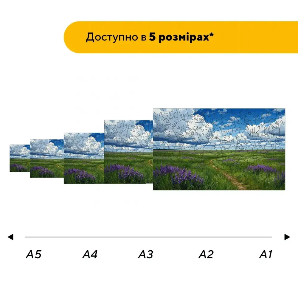 Дерев'яний фігурний пазл Асканія Нова, А4, Картонна коробка 100 елементів