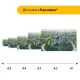 Дерев'яний фігурний пазл Кам'янець-Подільський, А5, Картонна коробка 35 елементів Дерев'яний фігурний пазл Кам'янець-Подільський, А5, Картонна коробка 35 елементів
