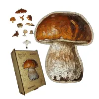 Дерев'яний фігурний пазл Боровик, А5, Картонна коробка 35 елементів