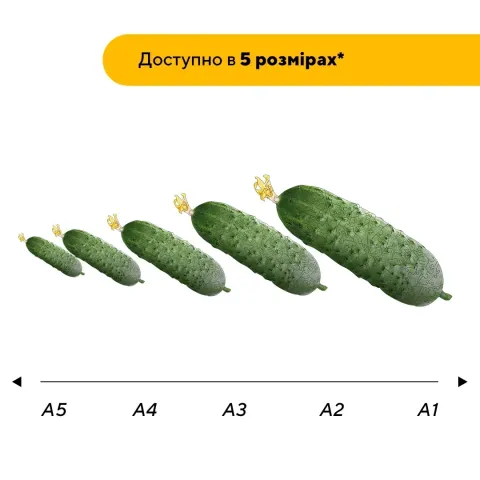 Дерев'яний фігурний пазл Вогурок, А3, Дерев'яна коробка 200 елементів