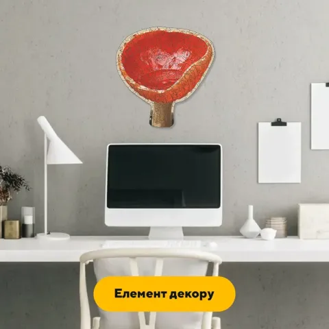 Дерев'яний фігурний пазл Саркосцифа, А1, Дерев'яна коробка 500+ елементів