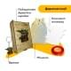 Пазл дерев'яний Малюк Грогу, А5, Картонна коробка 35 елементів Пазл дерев'яний Малюк Грогу, А5, Картонна коробка 35 елементів