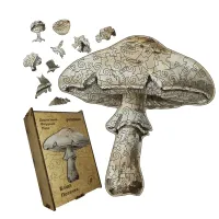 Дерев'яний фігурний пазл Бліда Поганка, А5, Дерев'яна коробка 35 елементів