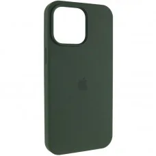 Чохол Silicone Case (AA) Logo with MagSafe для Apple iPhone 11 Pro Max (6.5") Зелений / Cyprus Green