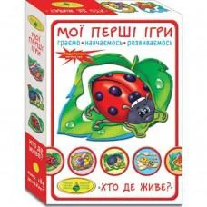 Гра Мои первые игры. Кто где живет?, 81145, ТМ Энергия+