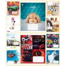 Зошити учнівські 18 аркушів клітинка Тверда ТЕ21214 18КВ2 МІКС, 20 шт. в упаковці