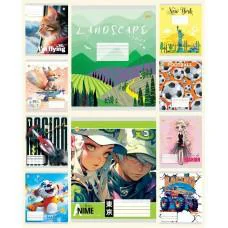 Зошити учнівські 12 аркушів клітинка Тверда ТЕ41102 Мікс 3, 25 шт. в упаковці Зошити учнівські 12 аркушів клітинка Тверда ТЕ41102 Мікс 3, 25 шт. в упаковці