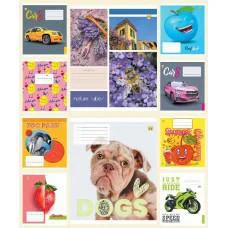 Зошити учнівські 12 аркушів лінія Тверда ТЕ22108 12ЛВ4 МІКС, 25 шт. в упаковці