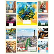 Зошити учнівські 60 аркушів клітинка Тверда ТЕ41601 Мікс 1, 10 шт. в упаковці