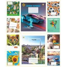 Зошити учнівські 12 аркушів лінія Тверда ТЕ42106 12ЛВ6 МІКС, 25 шт. в упаковці