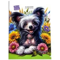 Папка Г-форма А4+, P0214 (1 відділення)