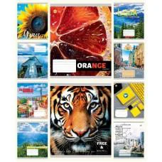 Зошити учнівські 60 аркушів клітинка Тверда ТЕ41604 Мікс 4, 10 шт. в упаковці