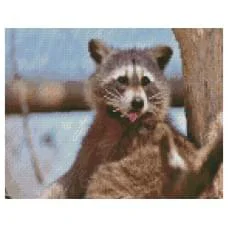 Набор для творчества алмазная картина Енотик Strateg HX500, 30x40 см