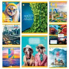 Зошити учнівські 96 аркушів клітинка Тверда Мікс 4, 10 шт. в упаковці