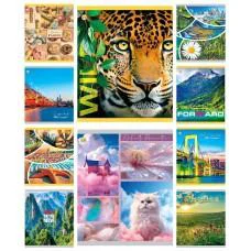 Зошити учнівські 60 аркушів клітинка Тверда Мікс 1, 10 шт. в упаковці