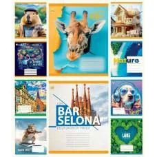 Зошити учнівські 24 аркуша клітинка Тверда Мікс 3, 20 шт. в упаковці