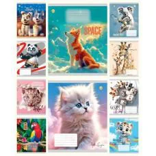 Зошити учнівські 12 аркушів клітинка Тверда Мікс 4, 25 шт. в упаковці Зошити учнівські 12 аркушів клітинка Тверда Мікс 4, 25 шт. в упаковці