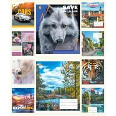 Зошити учнівські 60 аркушів клітинка Люкс 11631 Мікс 8, 10 шт. в упаковці