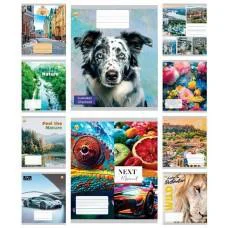 Зошити учнівські 18 аркушів лінія Тверда ТЕ42202 МІКС2, 20 шт. в упаковці